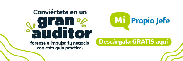 Auditor forense